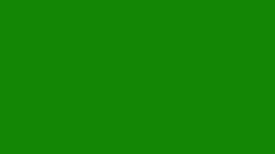 India green solid color background 8k wallpaper