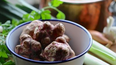 Jerusalem Artichokes Ultra HD 8k wallpaper