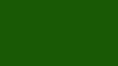 Lincoln green solid color background 8k wallpaper