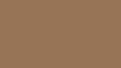 Liver chestnut solid color background 8k wallpaper