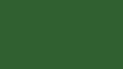 Mughal green solid color background 8k wallpaper