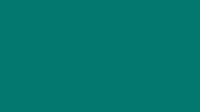 Pine green solid color background 8k wallpaper