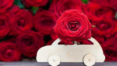 Bouquet Car Red Flower Red Rose 5K wallpaper