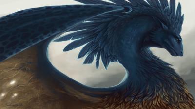 Dragon fantasy art feathers wallpaper