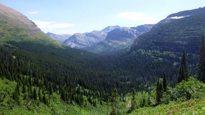 Forested Valley Along Iceberg Lake Trail Glacier National Park 5K wallpaper