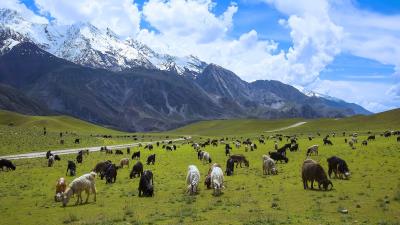 Goat Mountain National Park 5K wallpaper