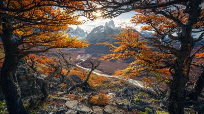 Beautiful autumn colours in patagonia 4k wallpaper
