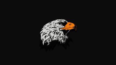 Eagle dark illustration 4k wallpaper