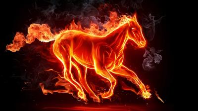 fiery horse 4k mb wallpaper