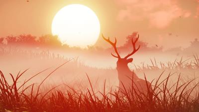 ghost of tsuhiuma in wild 4k zf wallpaper