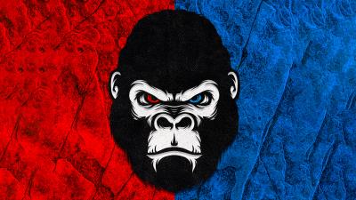 Gorilla red blue minimal 4k wallpaper