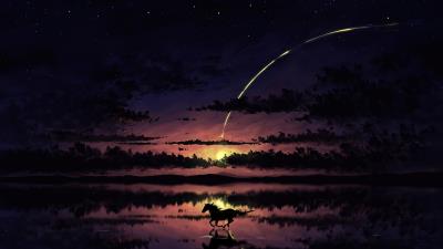 horse running beach side night reflection 4k ql wallpaper