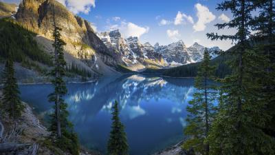 lake scenery alberta trees 4k su wallpaper
