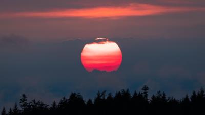 Pink hour vancouver island sunset 4k wallpaper