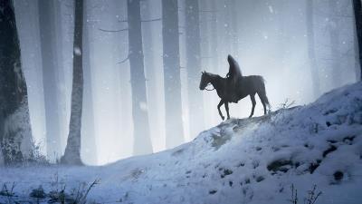 man horse walking through woods 4k o1 wallpaper