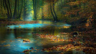 River sunbeam autumn 4k wallpaper
