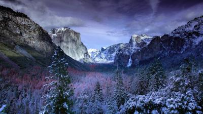 Snow forests yosemite scenery 4k wallpaper