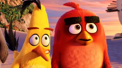 red and chuck angry birds wallpaper