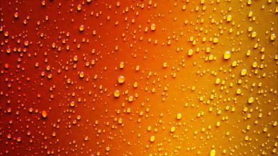 red yellow dew drop wet 4k r1 wallpaper