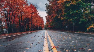 road between autumn trees 4k 34 wallpaper