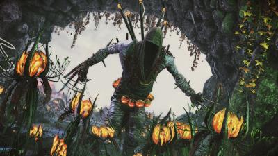 shadow warrior 2 wide wallpaper