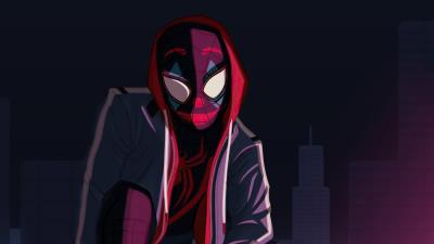 spider man hoodie boy 0k wallpaper