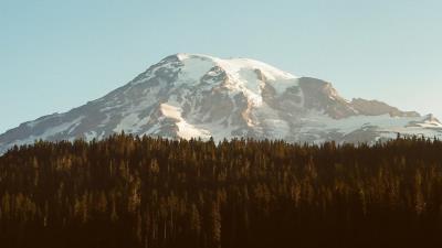 Mountain Forest HD wallpaper