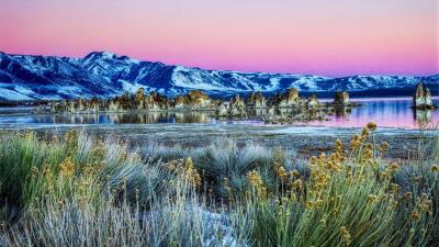 Pastel Dawn Mono Lake HD wallpaper