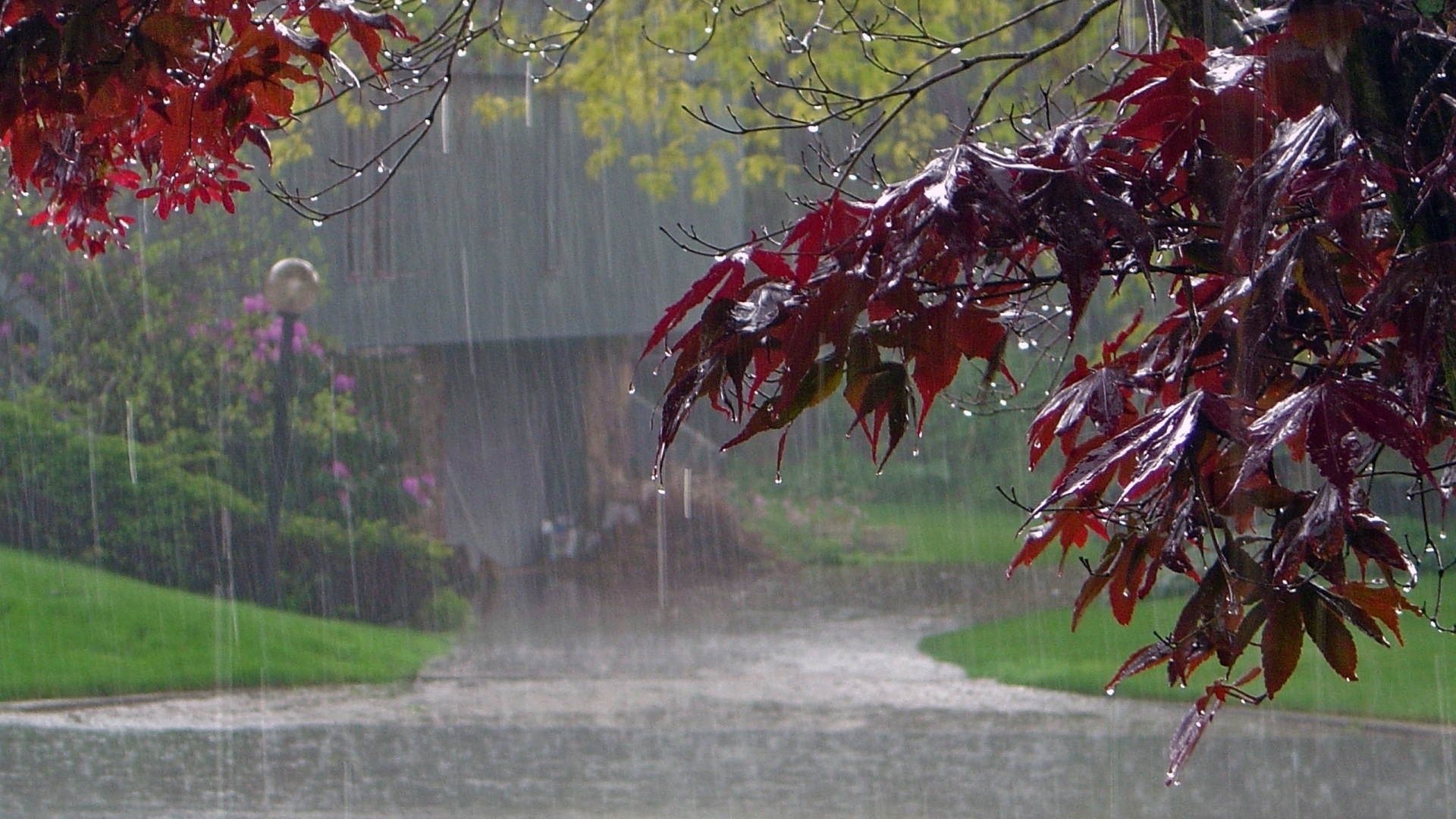 Rain Fall Photography HD Wallpaper