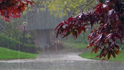 Rain Fall Photography HD wallpaper