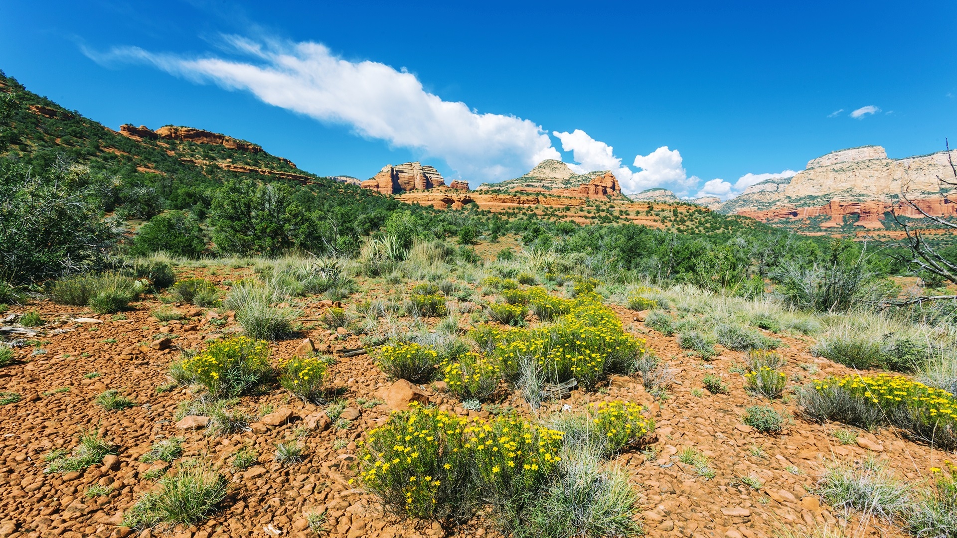 Sedona Arizona Wallpaper