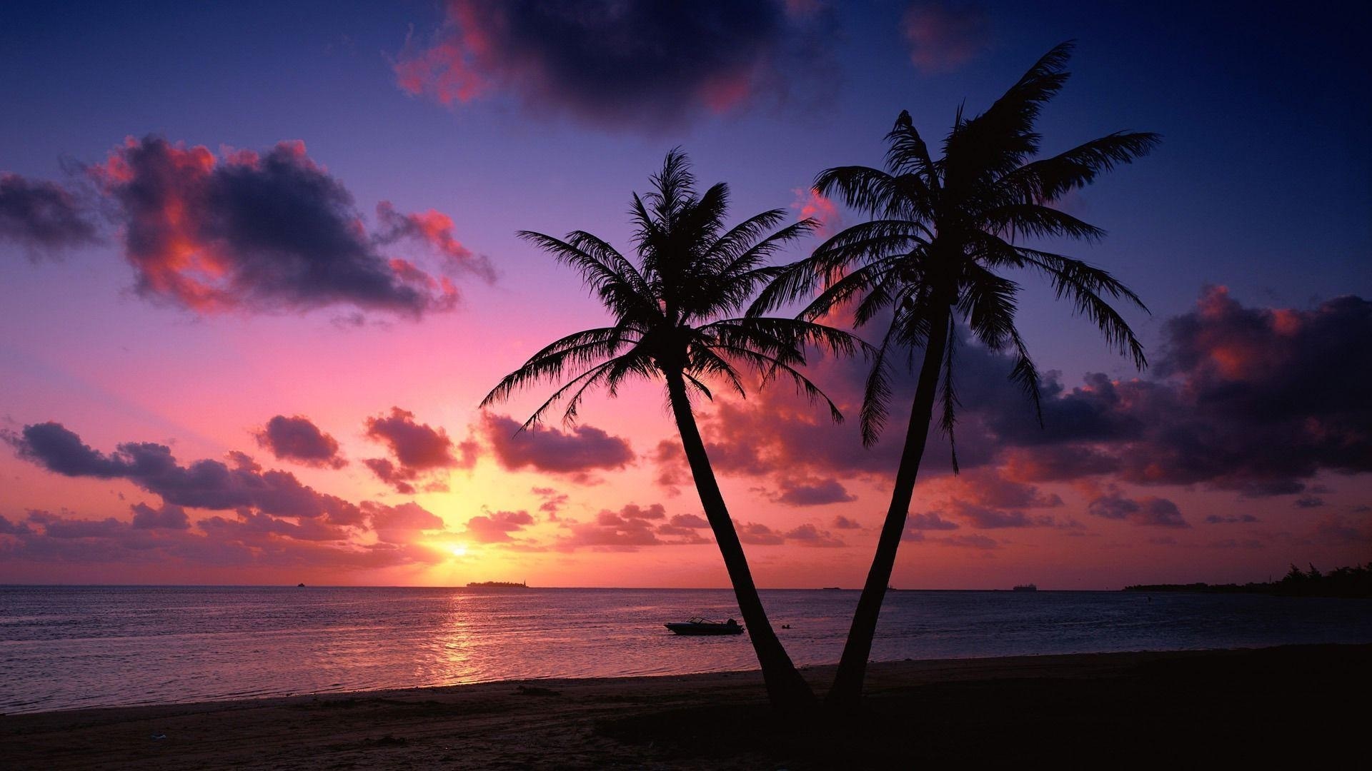 Tropical Sunset Wallpaper