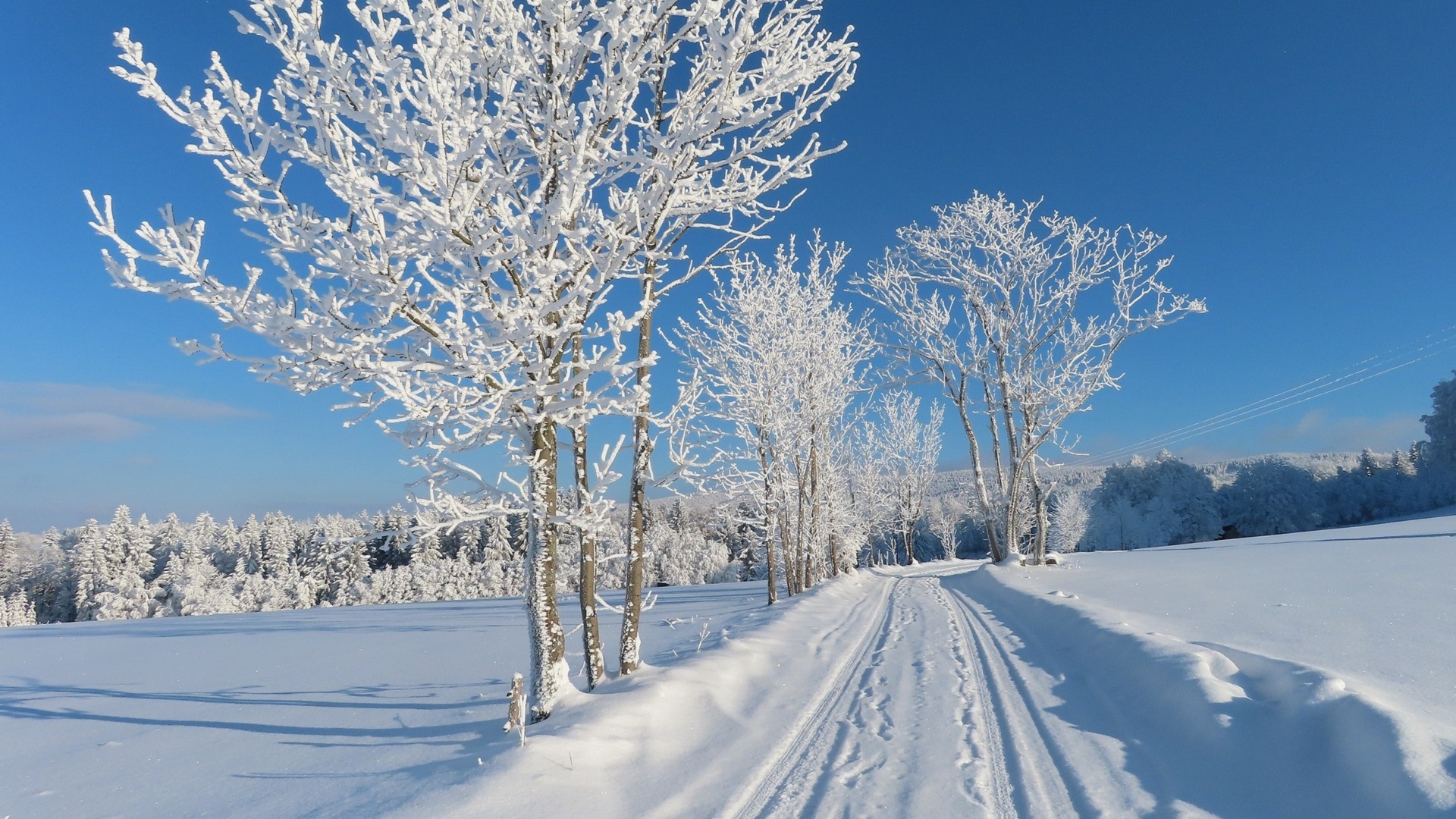 White Road Wallpaper