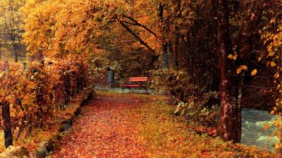 Autumn Stream Leaves Bench Trees Park Fence wallpaper