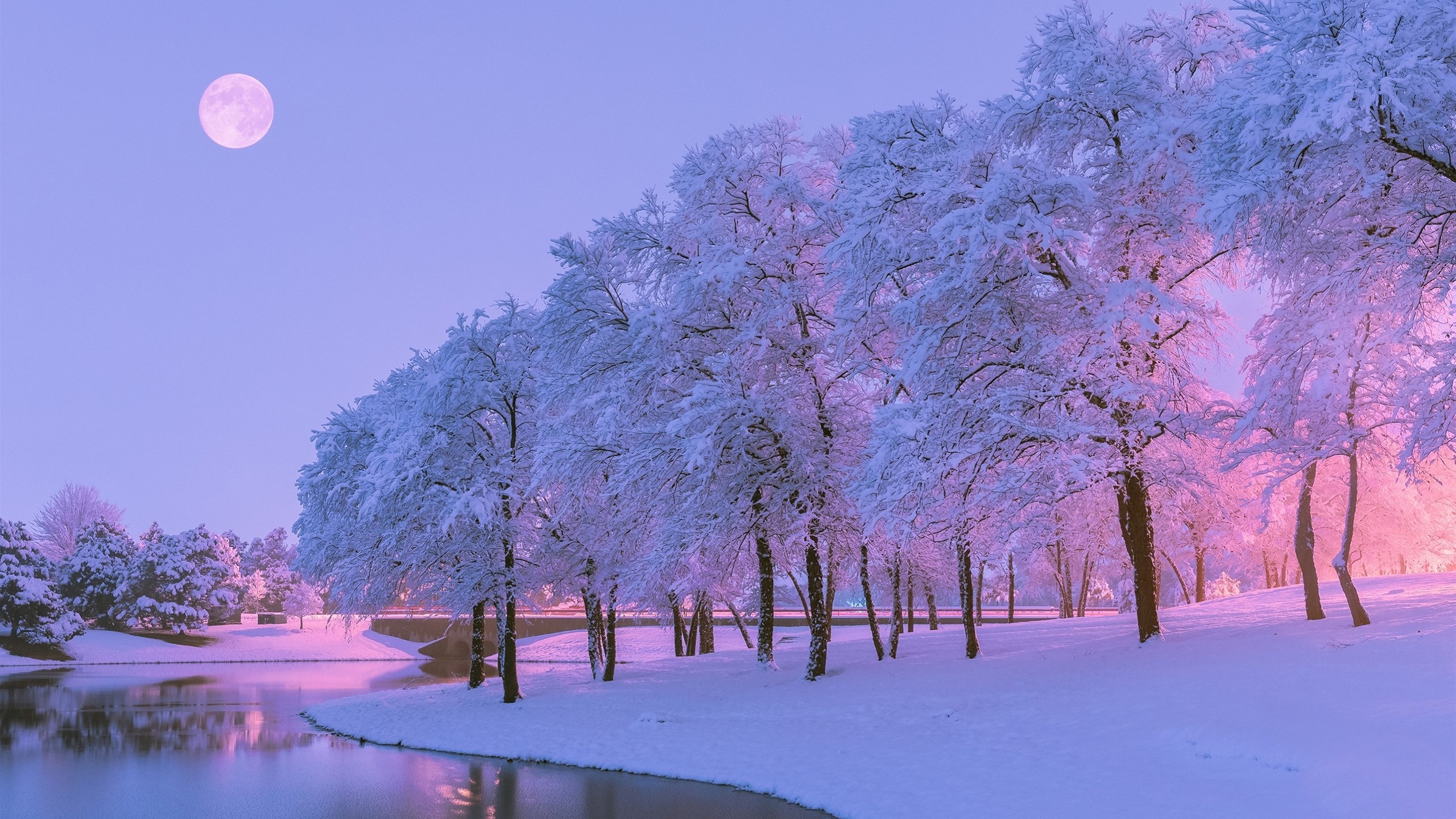 Beautiful Winter Evening 2k Wallpaper