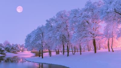 Beautiful Winter Evening 2k wallpaper