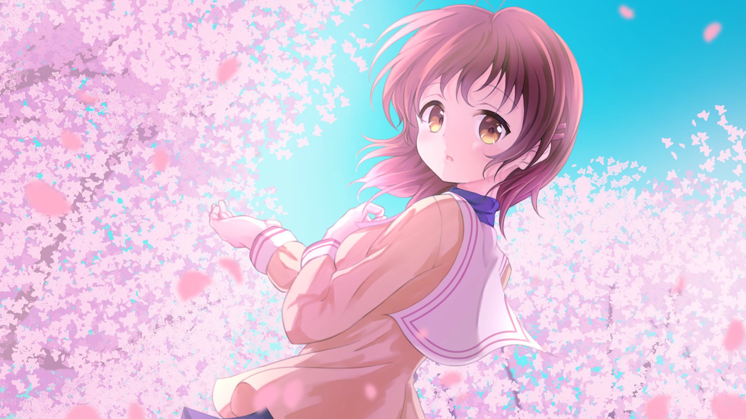 Clannad 2k Wallpaper