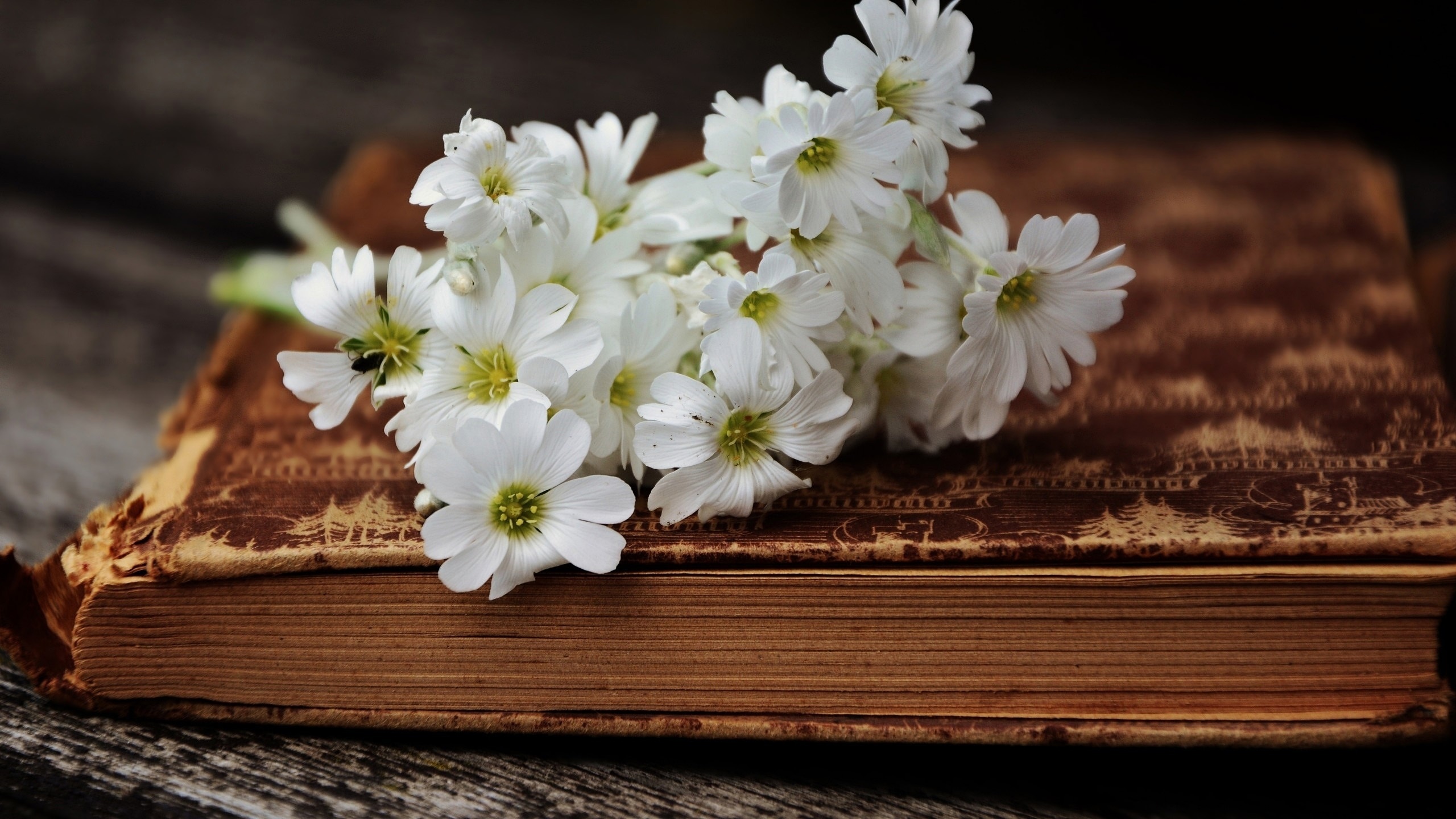 Flowers On Book Wallpaper