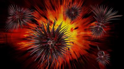 Balls thorns spines wallpaper