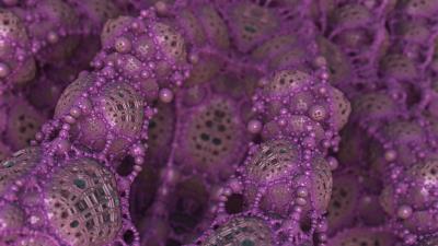 Fractal rendering shapes wallpaper