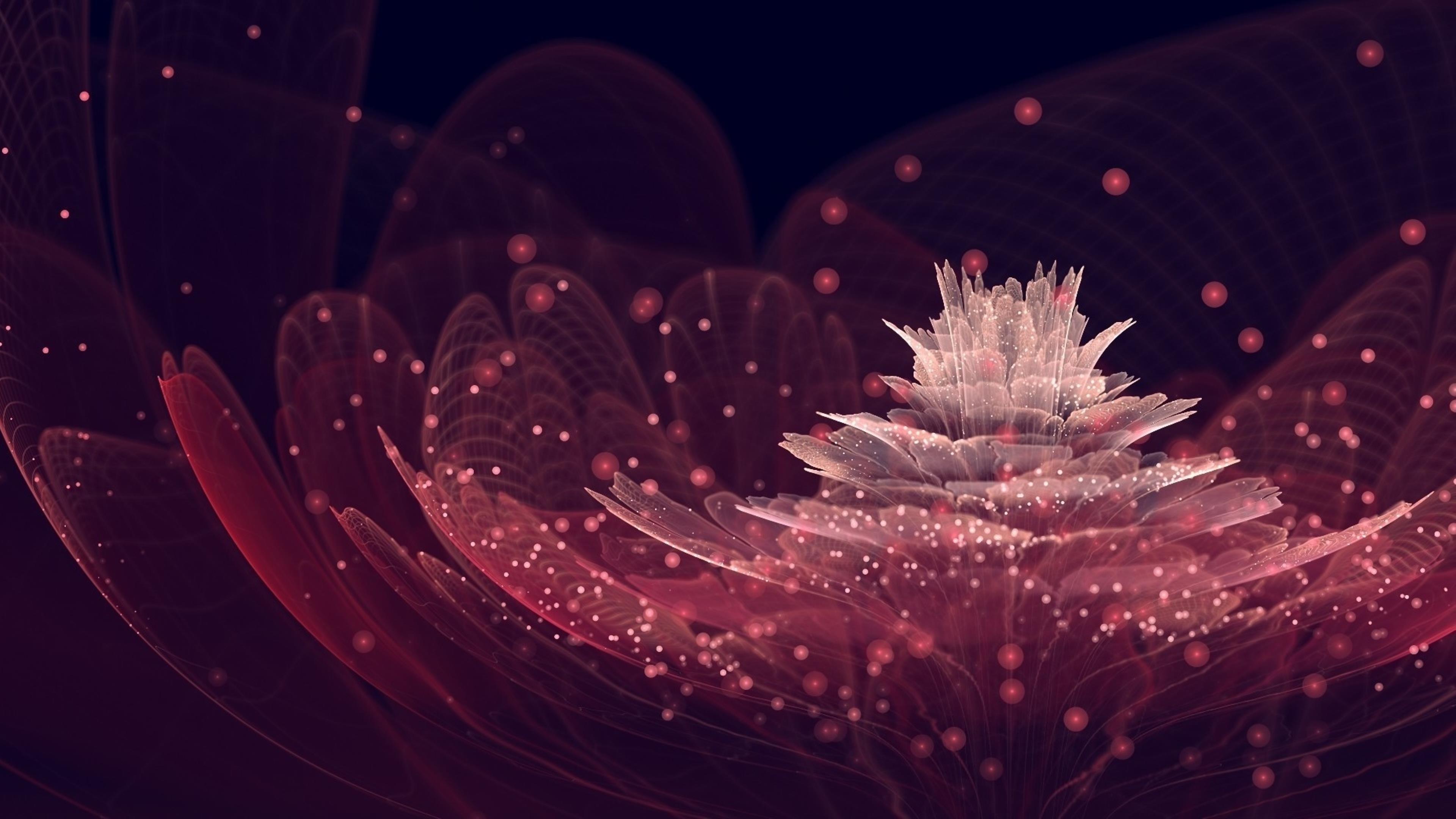 Abstract flower petals dots glitter 4k wallpaper Wallpaper