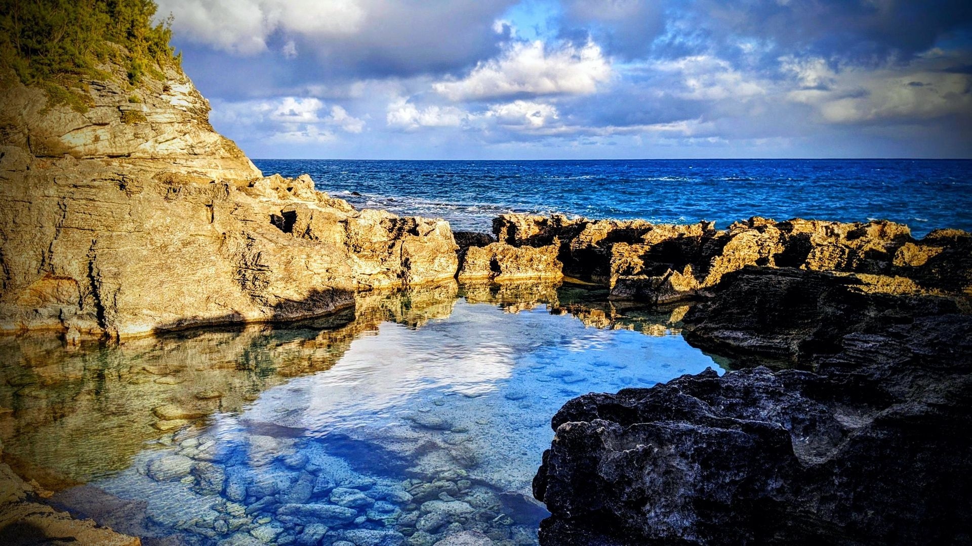A Tide Pool in Bermuda HD Wallpaper