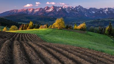 Autumn Trees Fields Mountains wallpaper