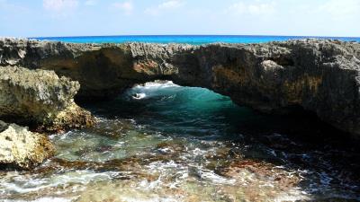 Cozumel Windward Reef HD wallpaper