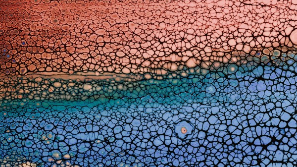 Bubbles Stains Liquid wallpaper