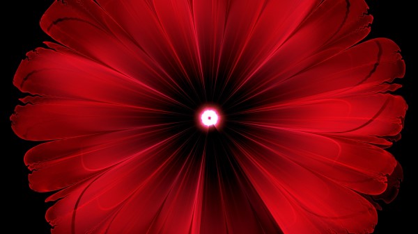 Flower Red Glow Wallpaper