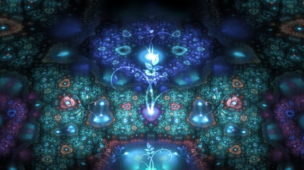 Fractal Patterns Flowers Shapes Image Wallpaper