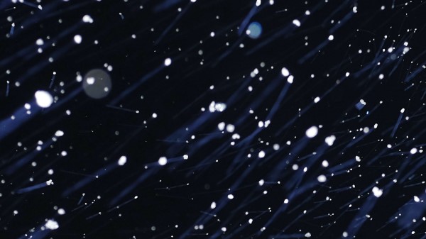 Particles Snow Motion wallpaper