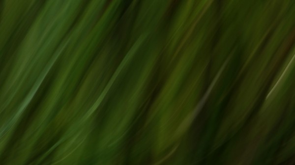 Stripes Lines Distortion wallpaper