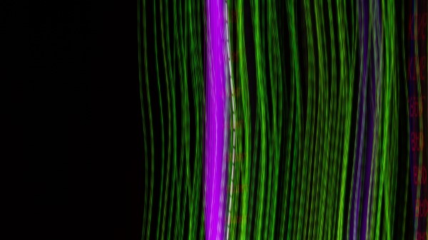 Stripes Lines Neon Img wallpaper